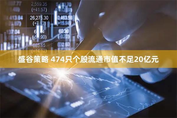 盛谷策略 474只个股流通市值不足20亿元
