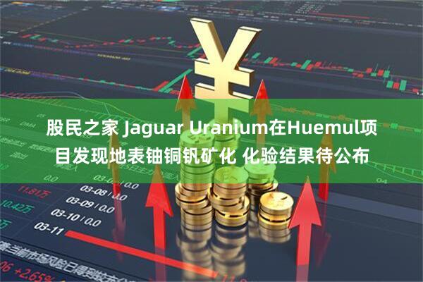 股民之家 Jaguar Uranium在Huemul项目发现地表铀铜钒矿化 化验结果待公布